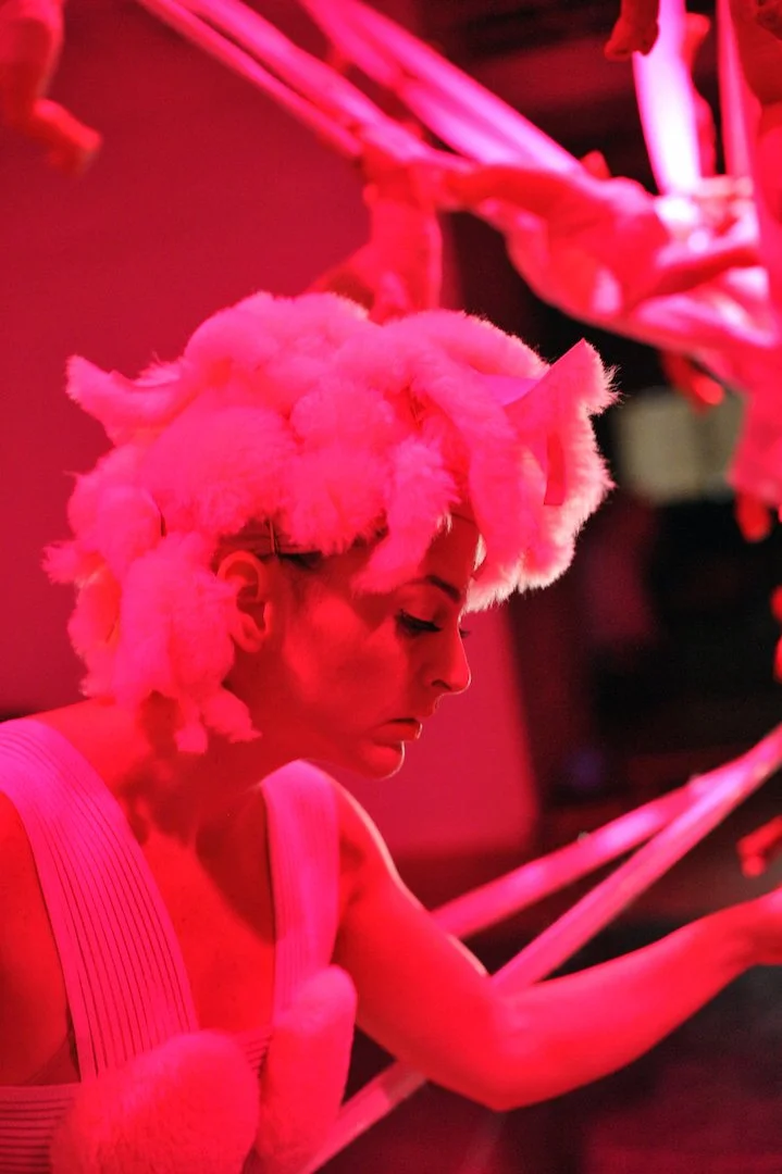 Dolly the Sheep, 2009