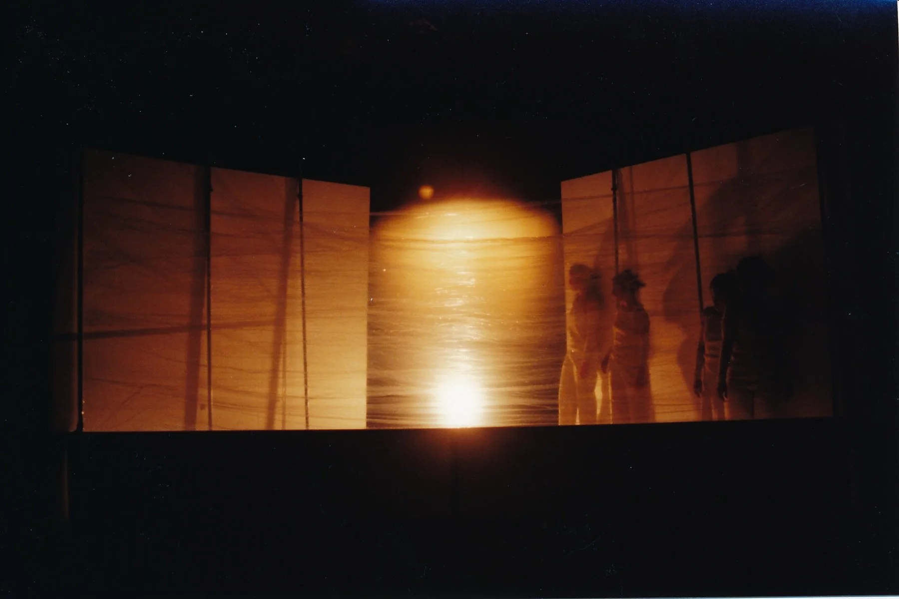 The Viewing Room, 2002