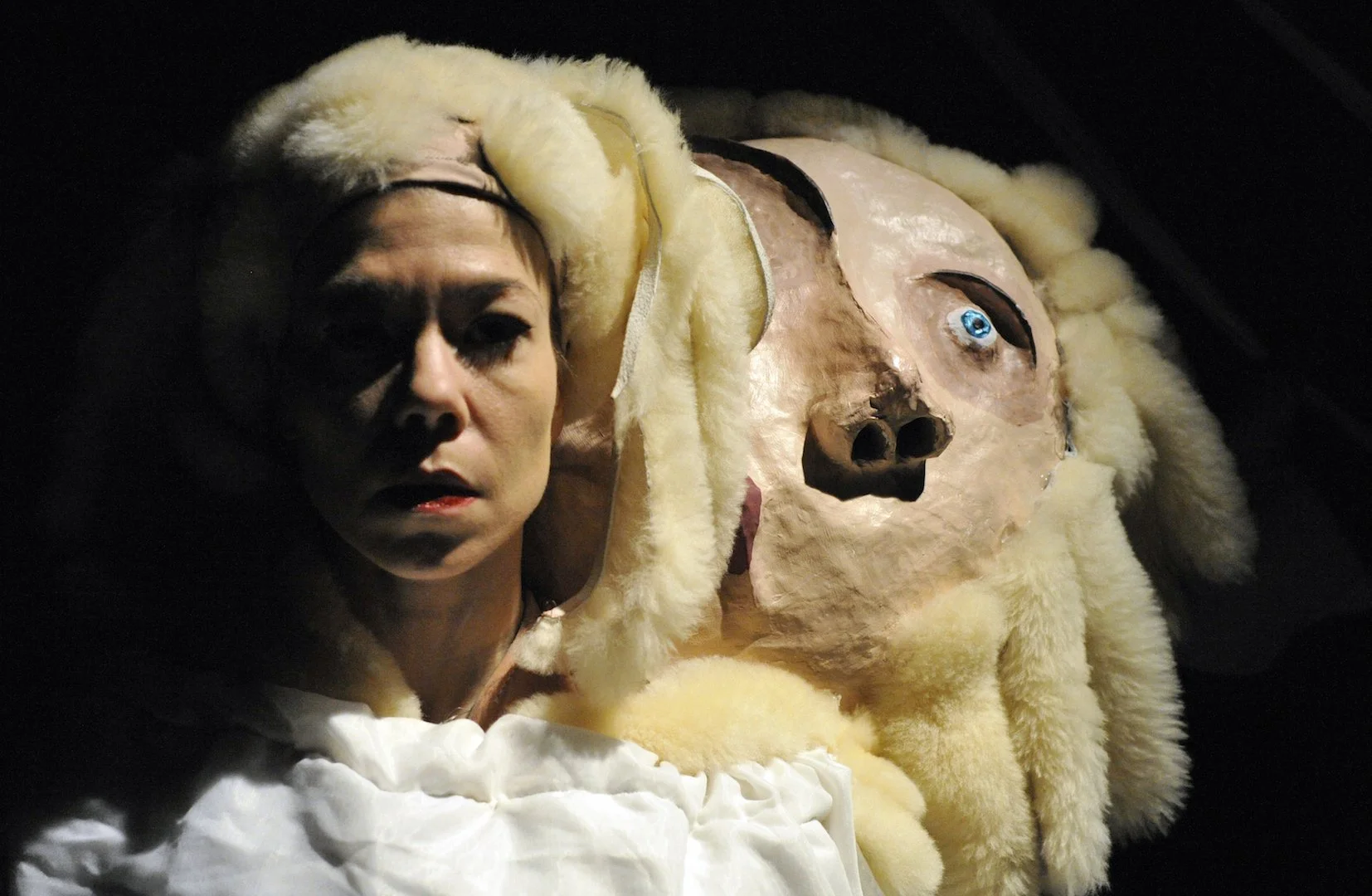 Dolly the Sheep, 2009
