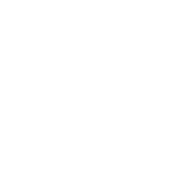 Modern pivot doors for residential architecture in Dallas, TX