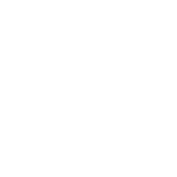 Home page for WDH Hilt LLC window and door services in Dallas