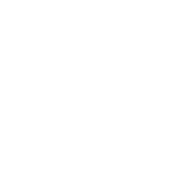 Windows designed to reduce HVAC dependence in Dallas homes