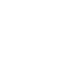 Window and door project planning and approval process in Dallas, TX