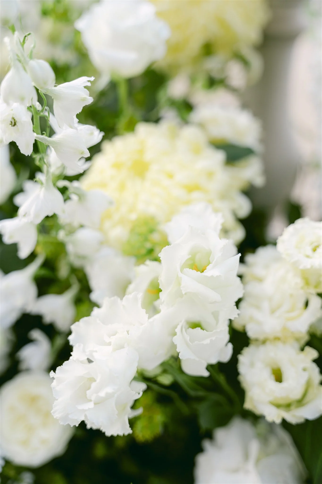 Butter Yellow Wedding Flowers - Surrey Wedding Florist - Botleys Mansion Wedding Flowers