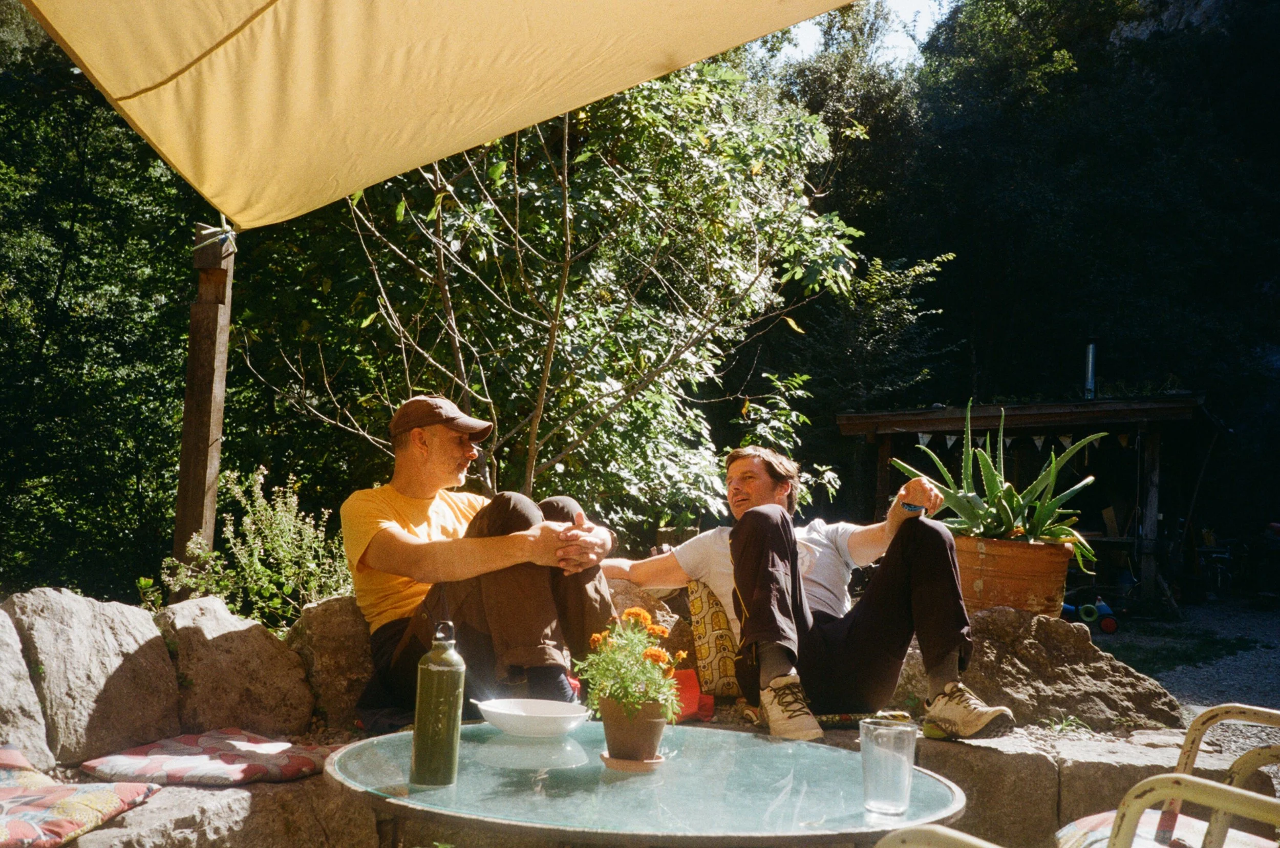 Two men are sitting outside on a sunny day, chatting, with trees and a wooden structure in the background. They are near a table with plants and drinks.