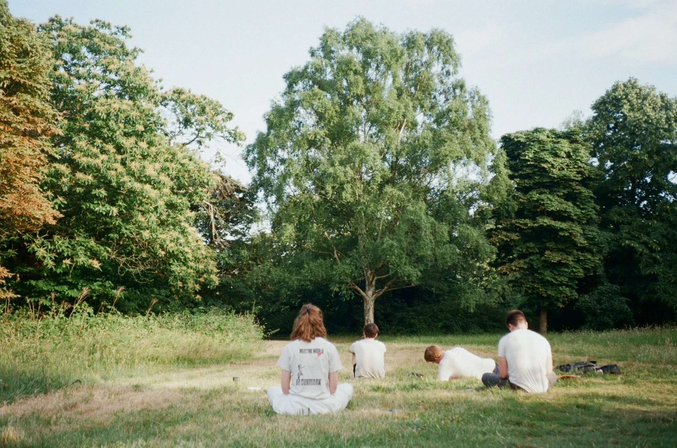 An evening of movement, mindfulness, and community in the park