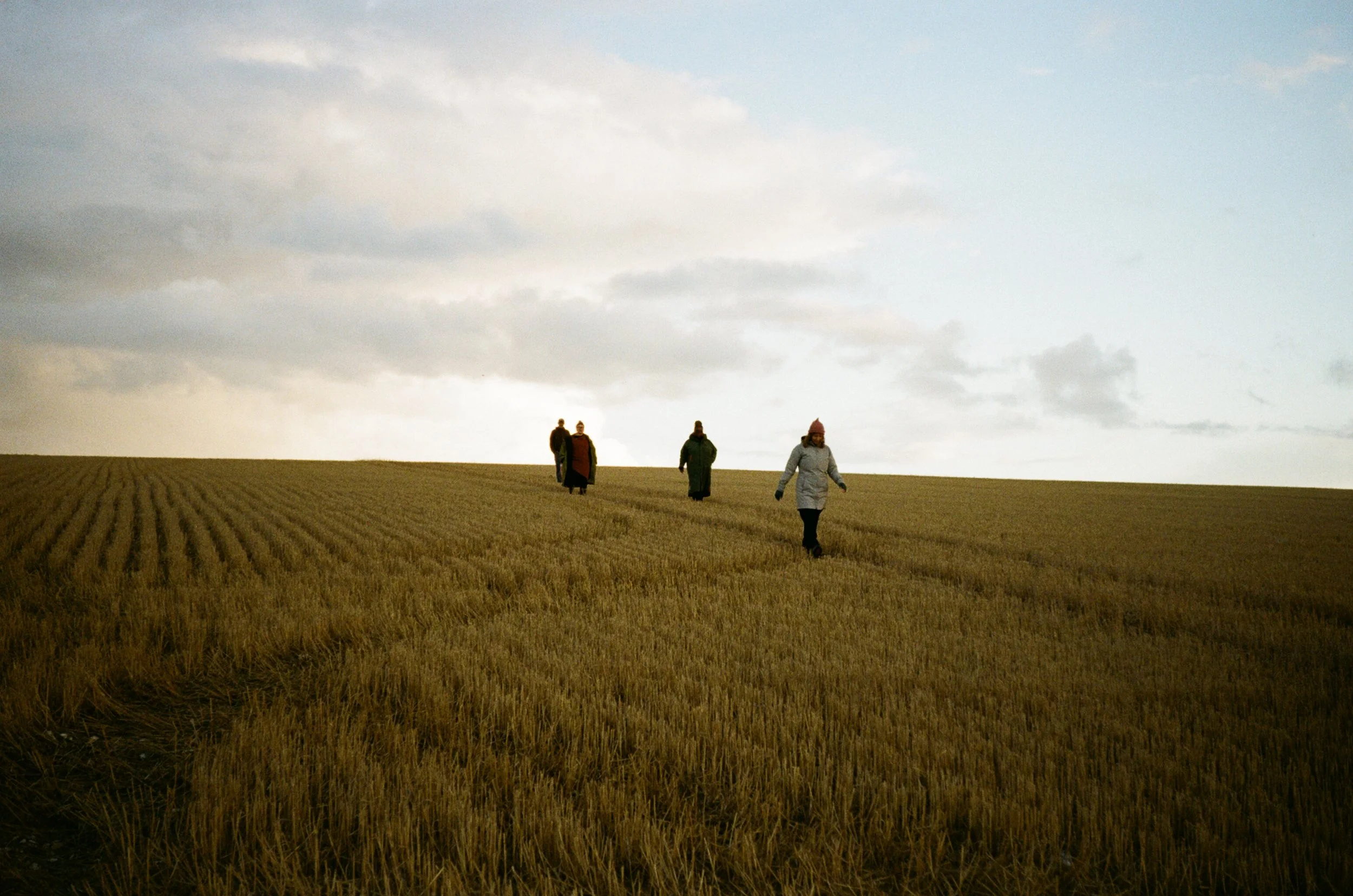 CommonNatureSelection10.JPG