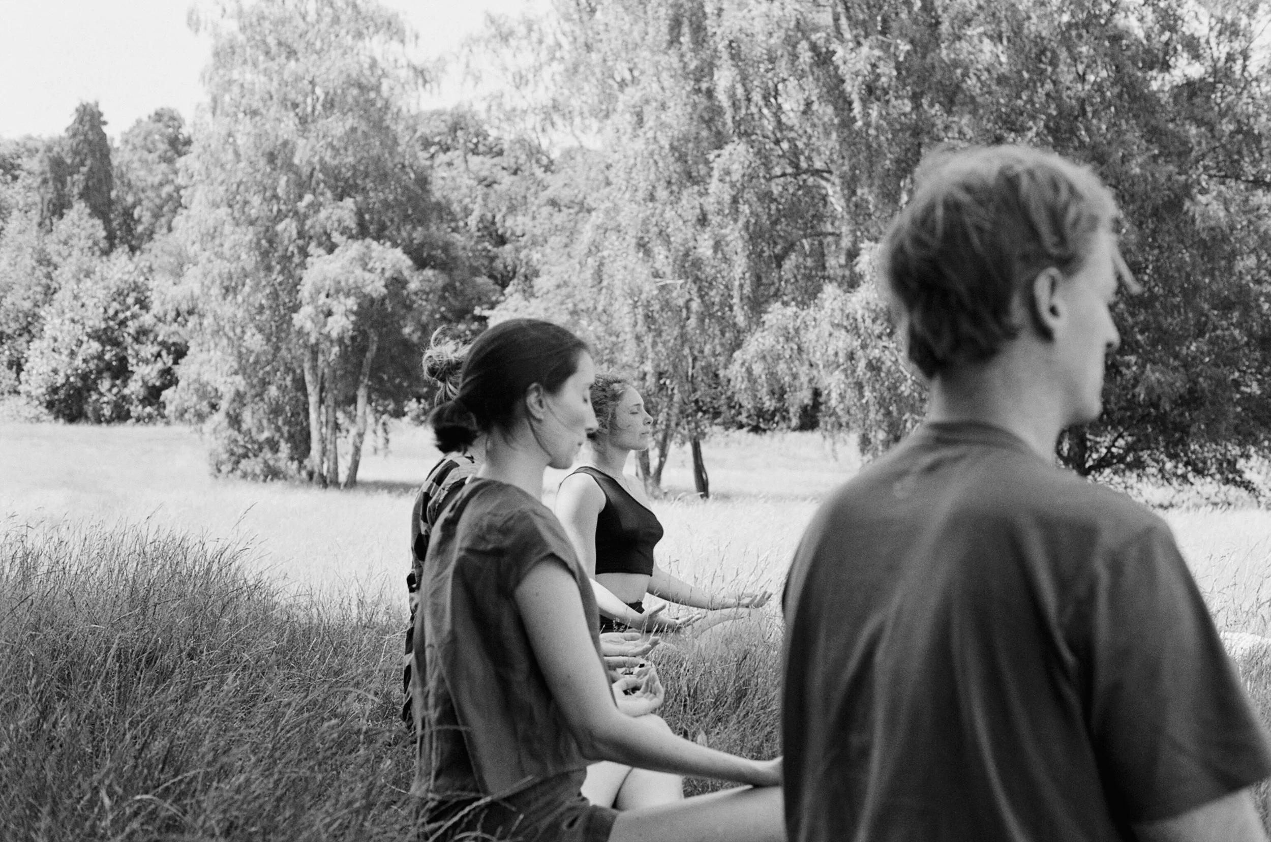 Summer Solstice – movement, nature, and community in Brockwell Park