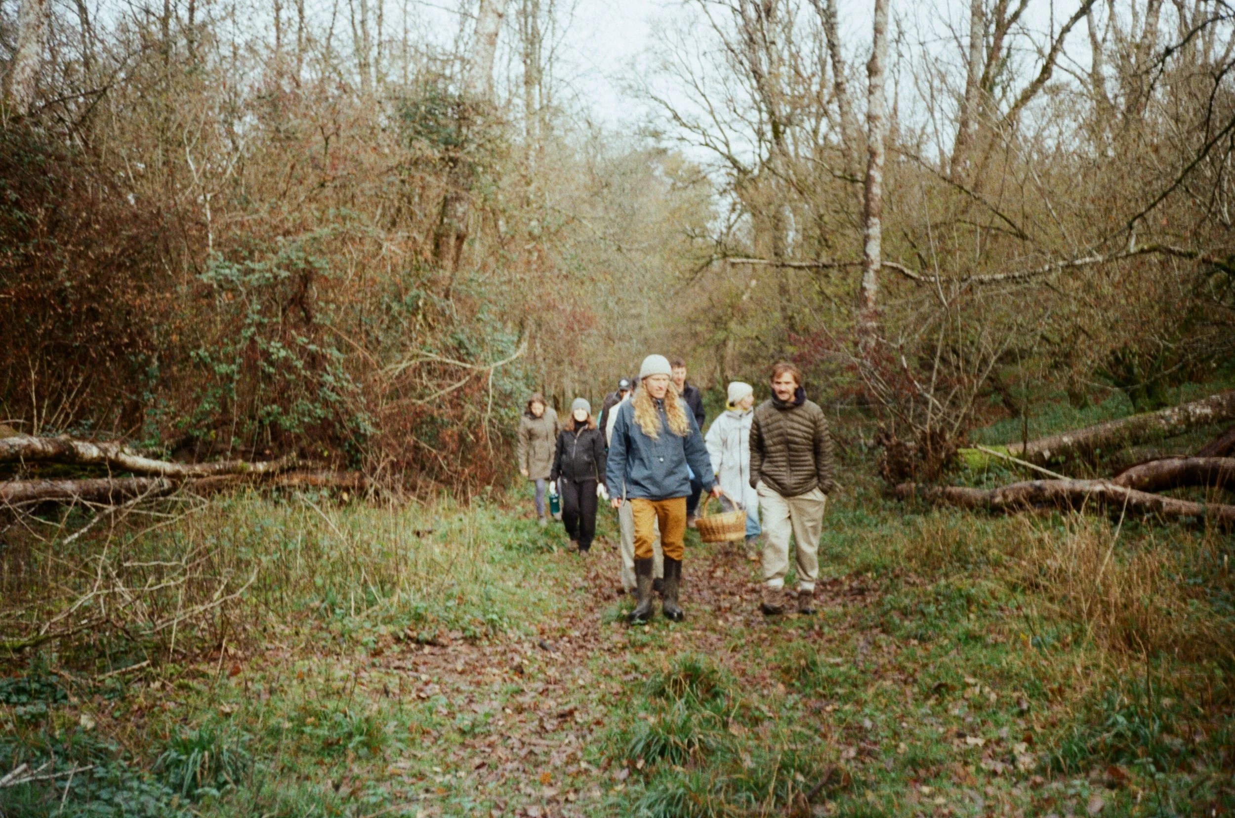 CommonNatureSelection7.JPG