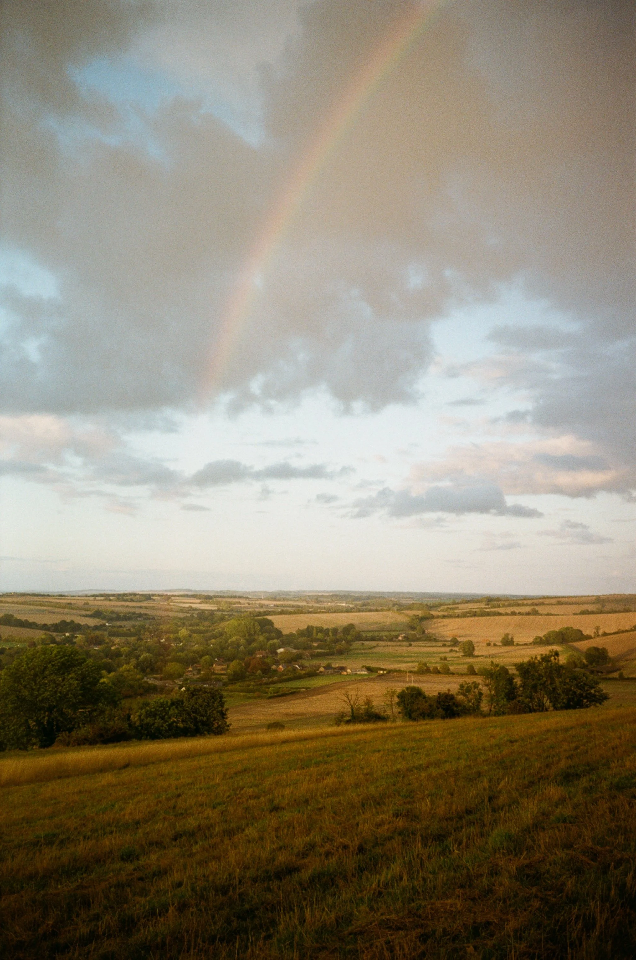 CommonNatureSelection11.JPG