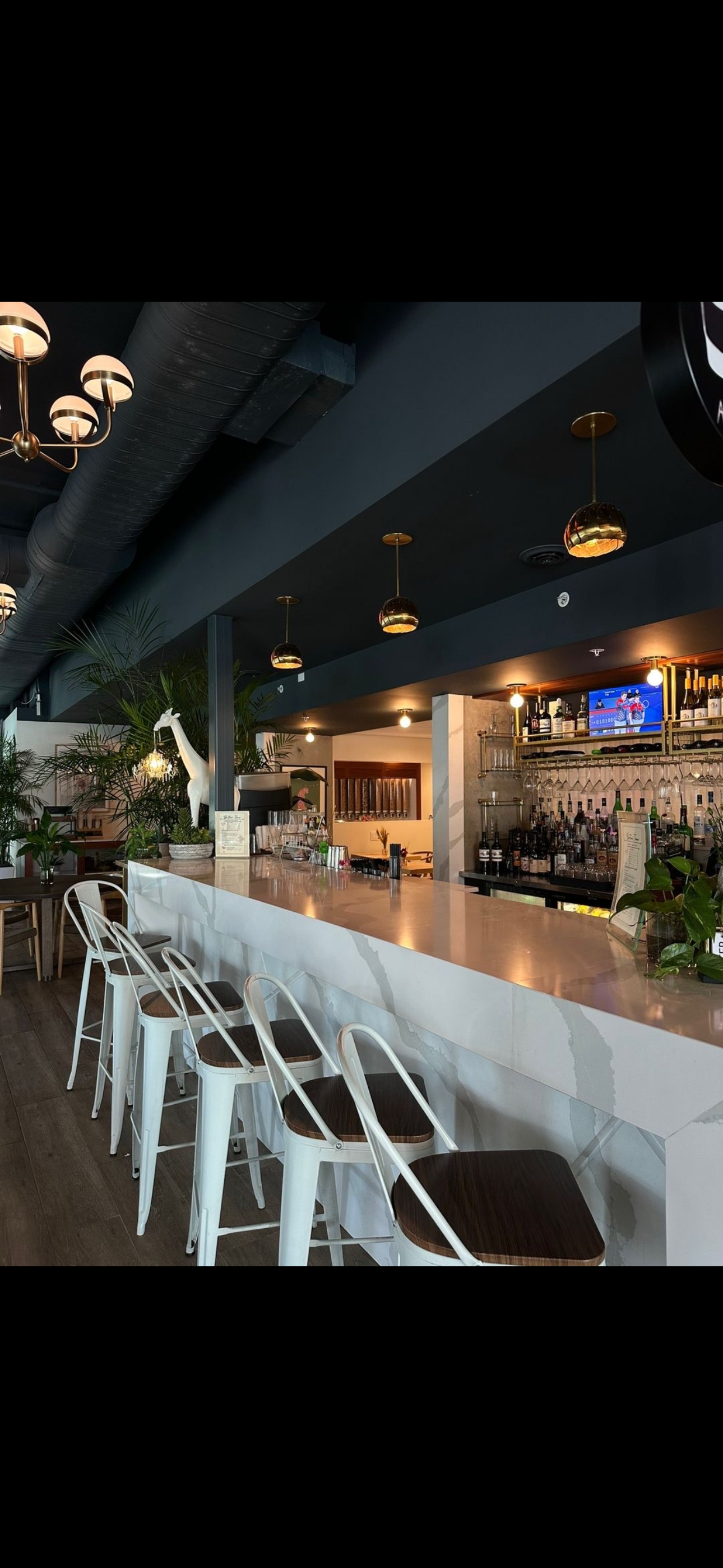 Upscale restaurant bar interior showcasing luxury hospitality atmosphere and guest experience.