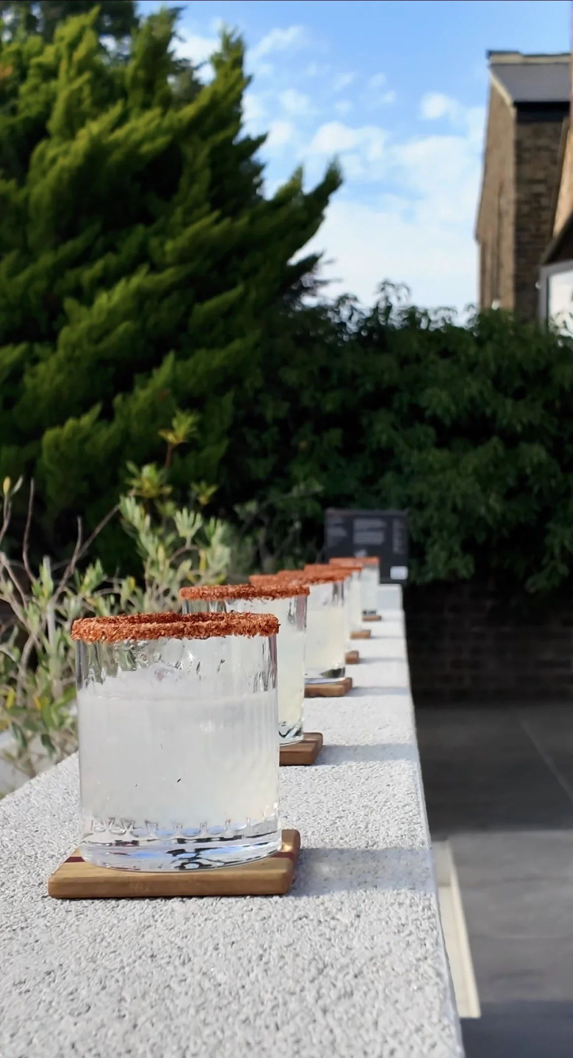A row of glasses filled with a clear liquid on a white surface outdoors, with green bush plants and a house in the background under a blue sky with clouds.