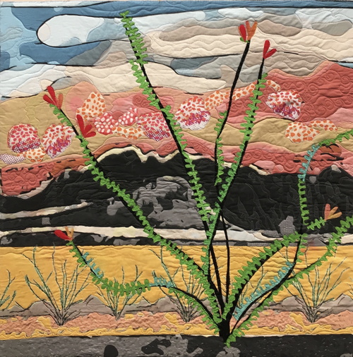 Ocotillo in Big Bend 