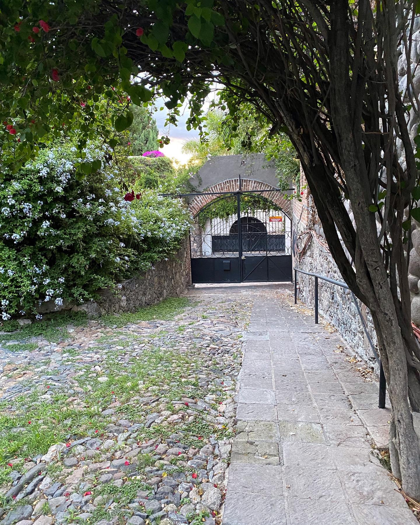 Our gate in San Miguel de Allende &mdash;just under a month to go