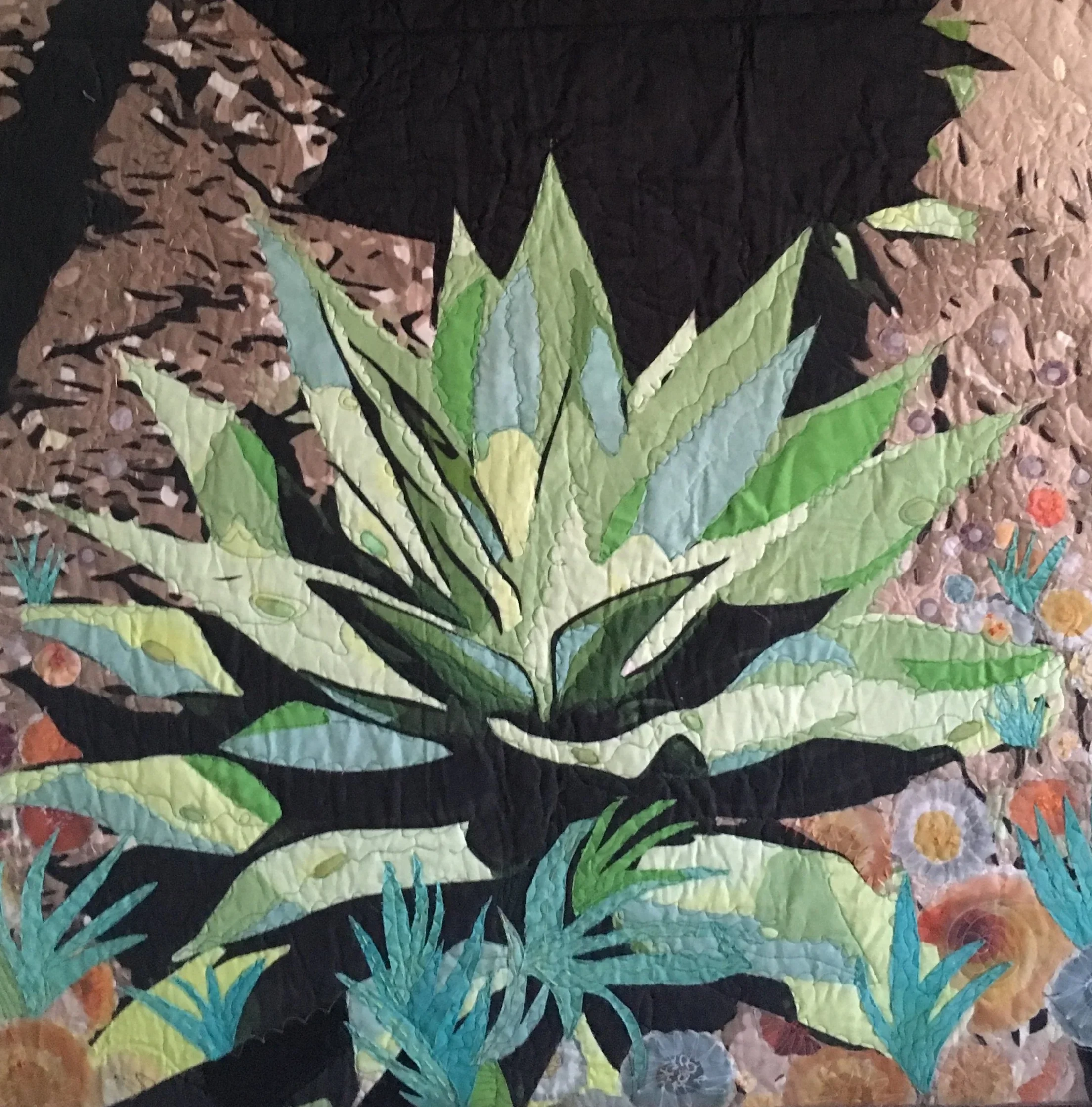 Agave with young