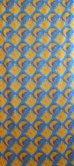 Detail: Moonlight Sonata

40”  by 103” Digitally printed textile