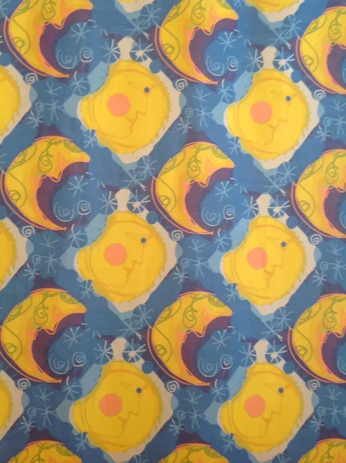 Detail: Moonlight Sonata

40”  by 103” Digitally printed textile