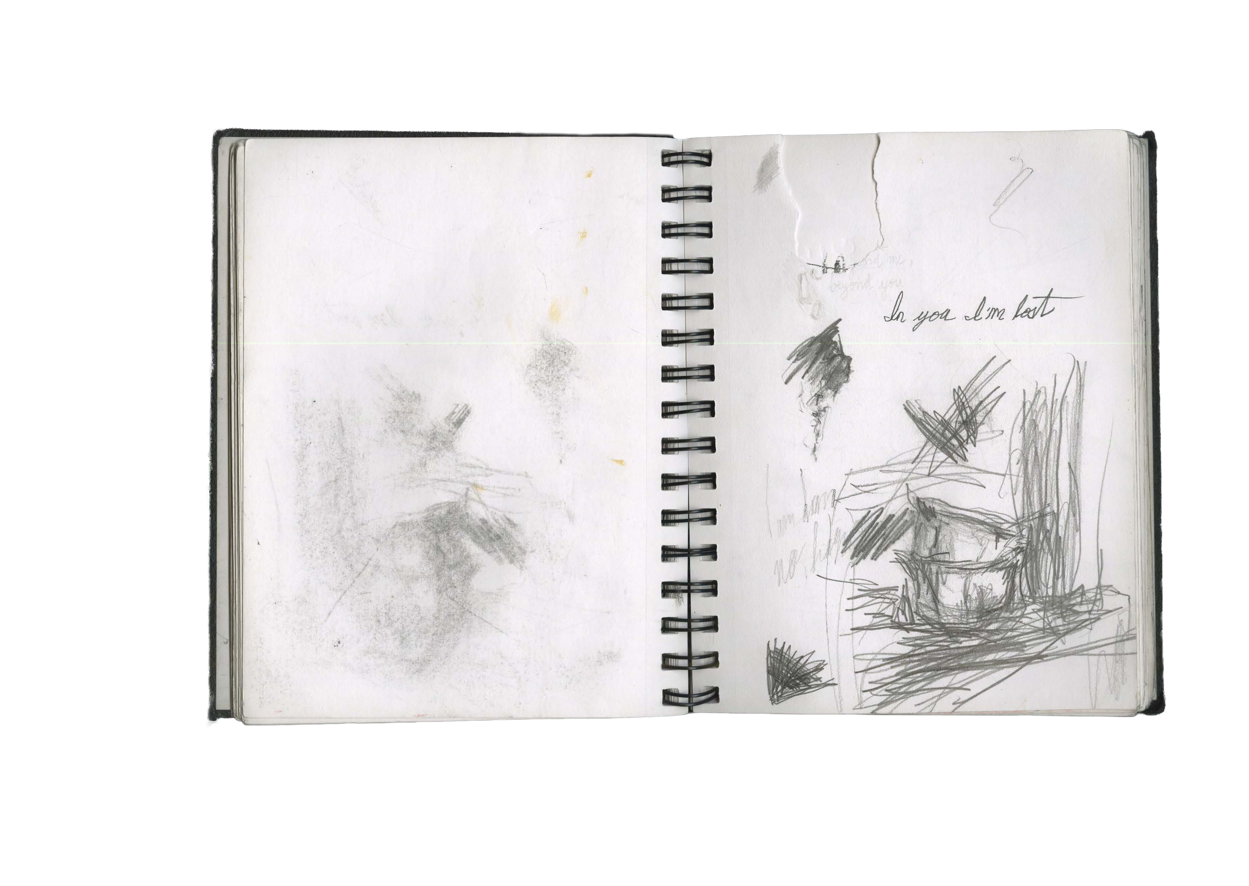 Untitled 4 copy.png
