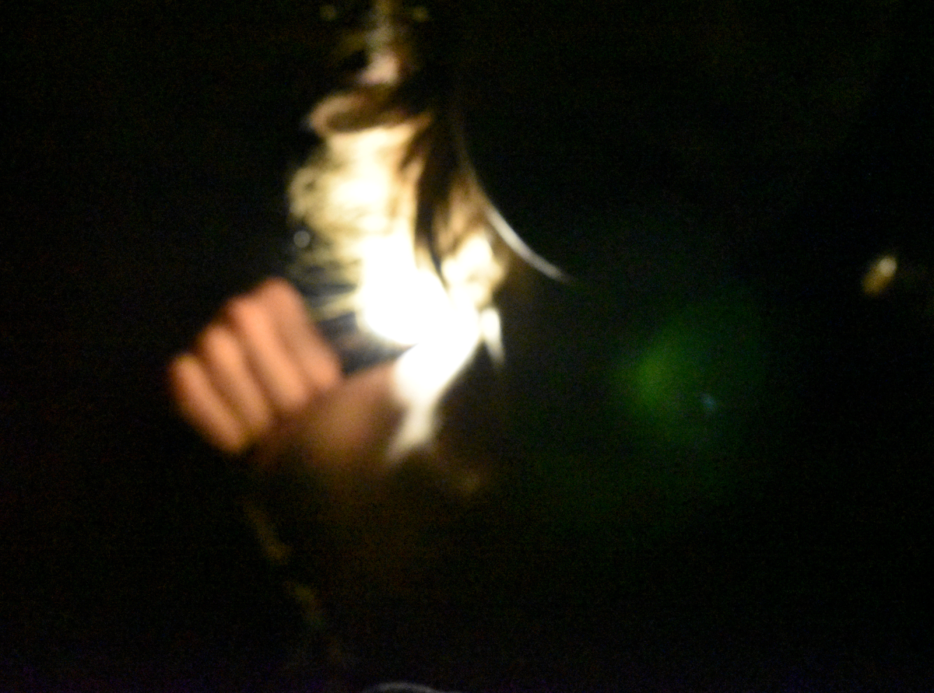 IMG_8983.PNG