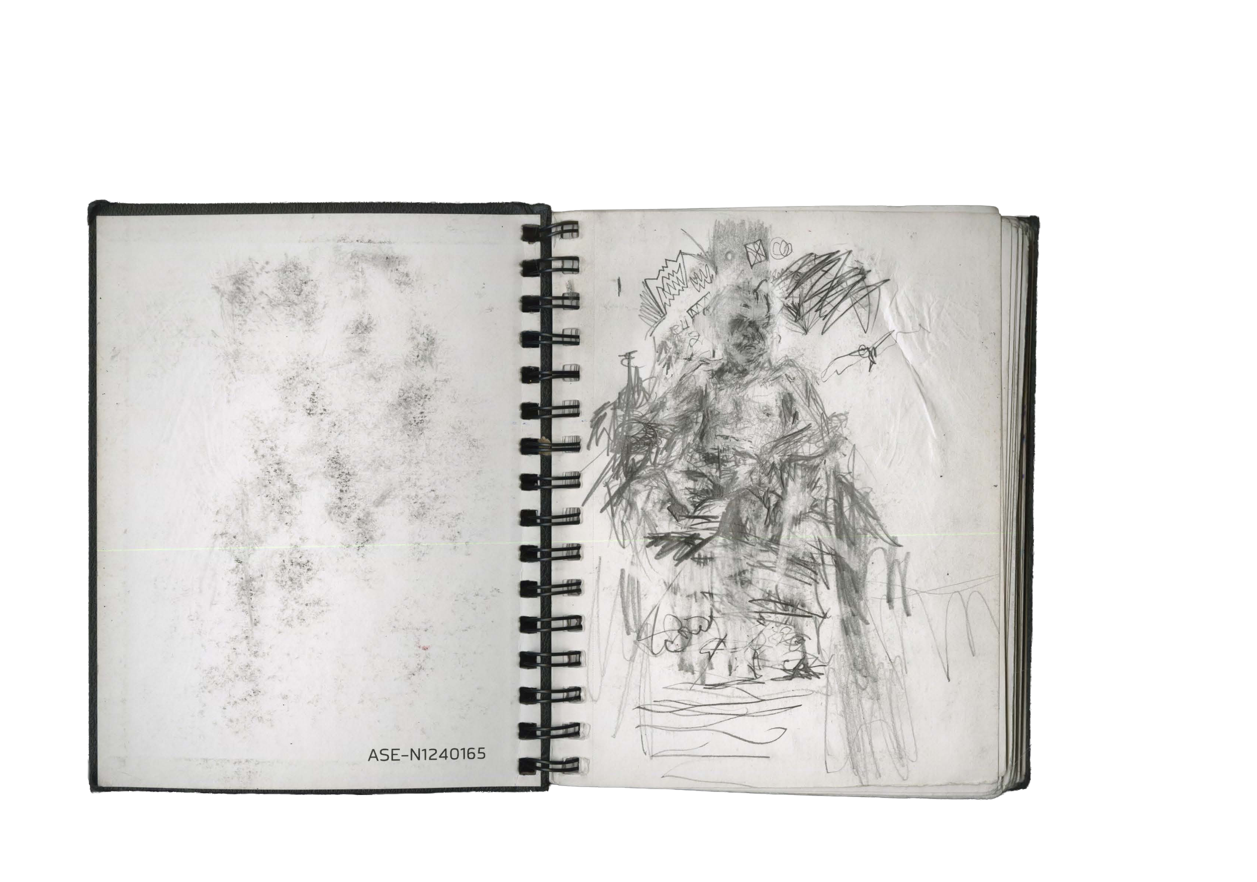 Untitled 11 (1) copy.png