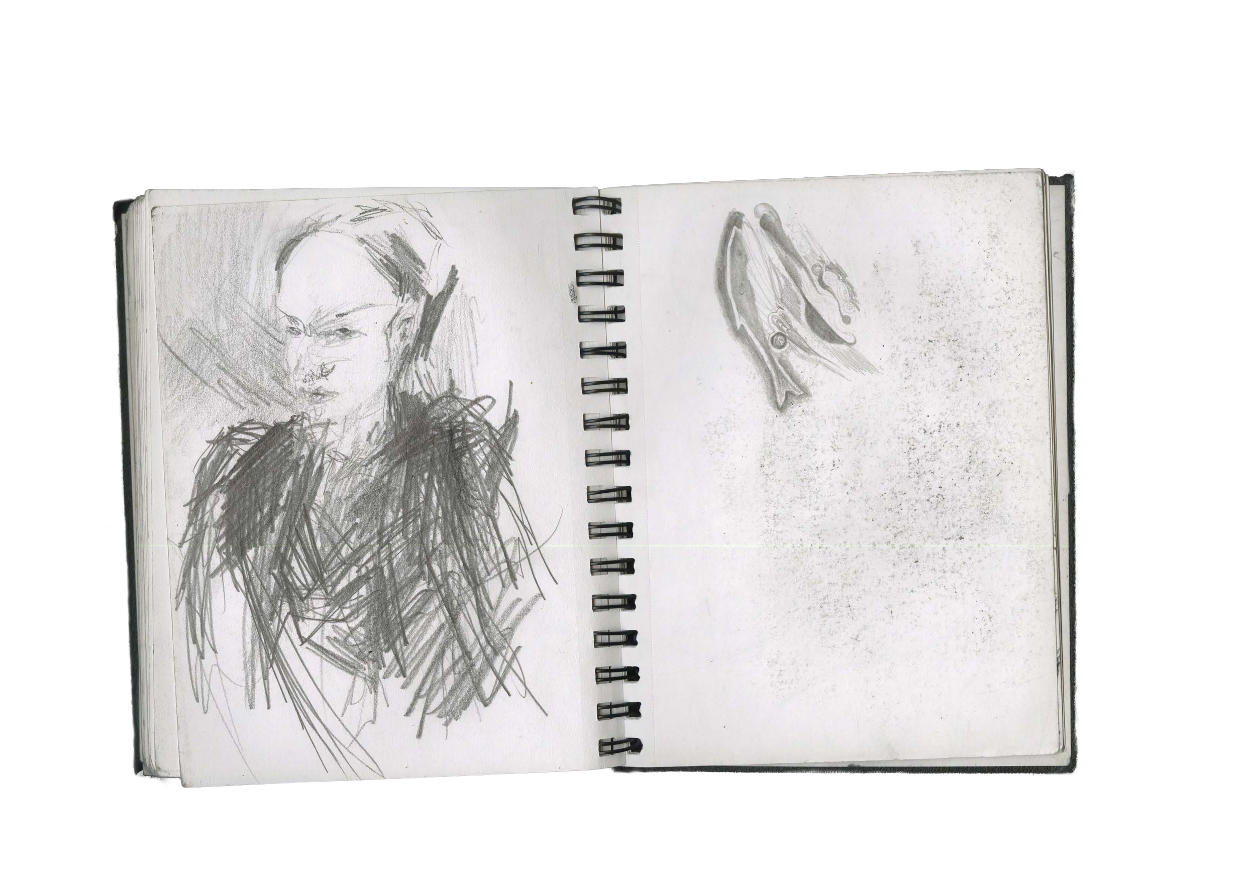 Untitled 2 (1) copy.png