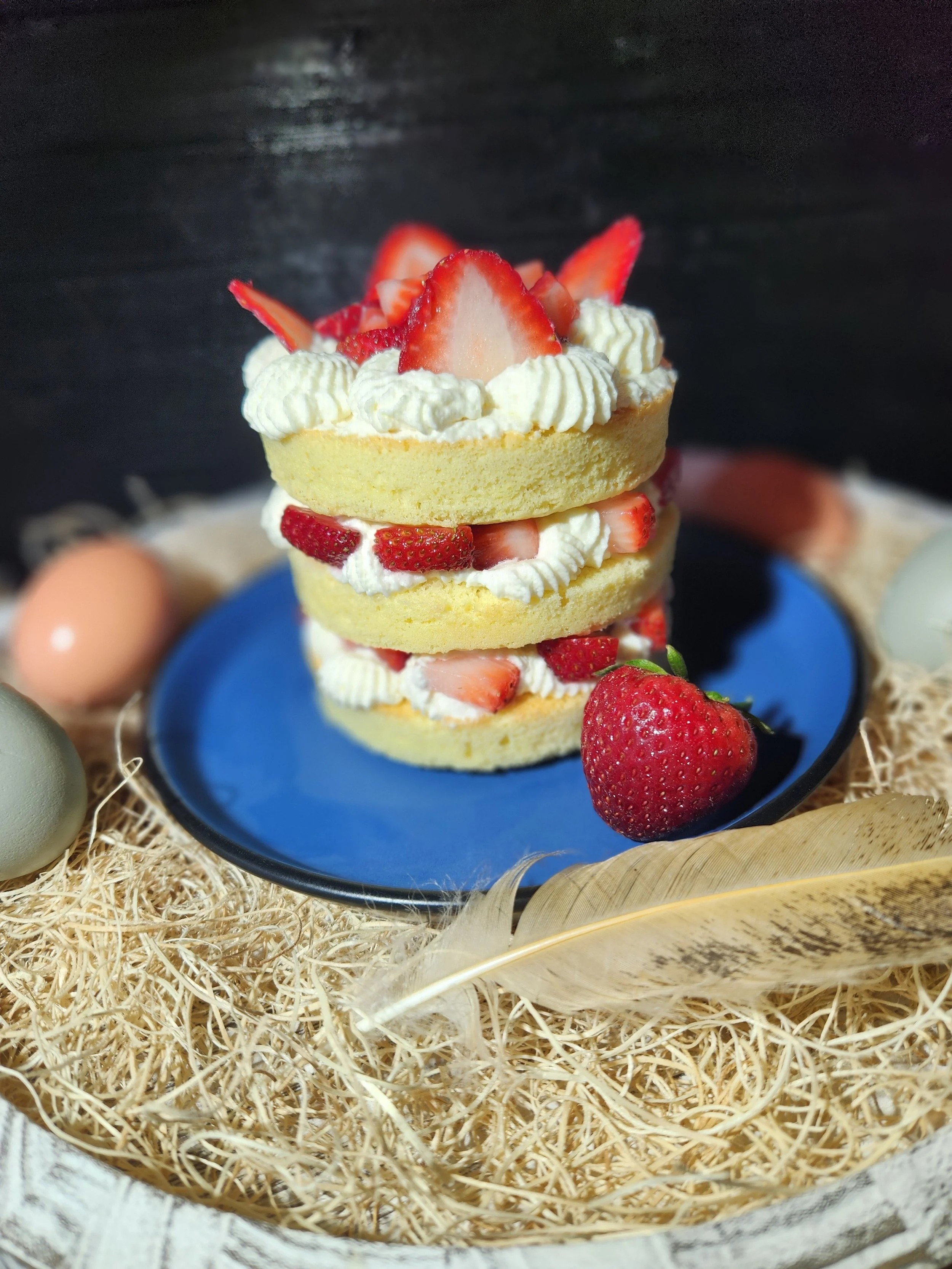 Strawberry Shortcake Pic.jpg (Copy)