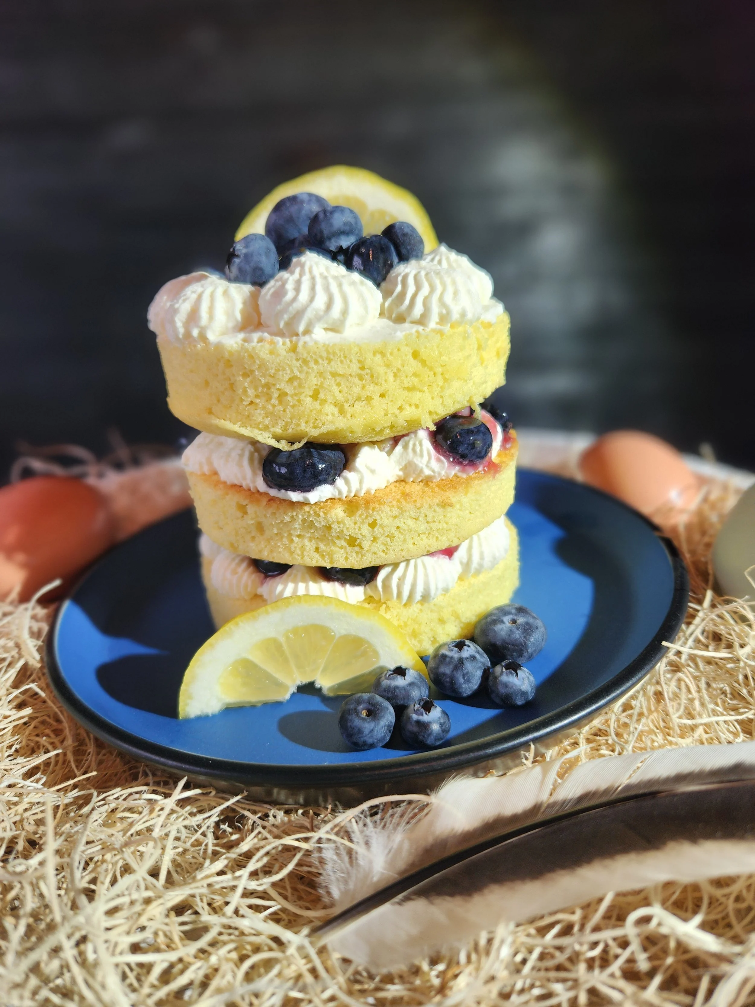 Lemon Blueberry Pic.jpg