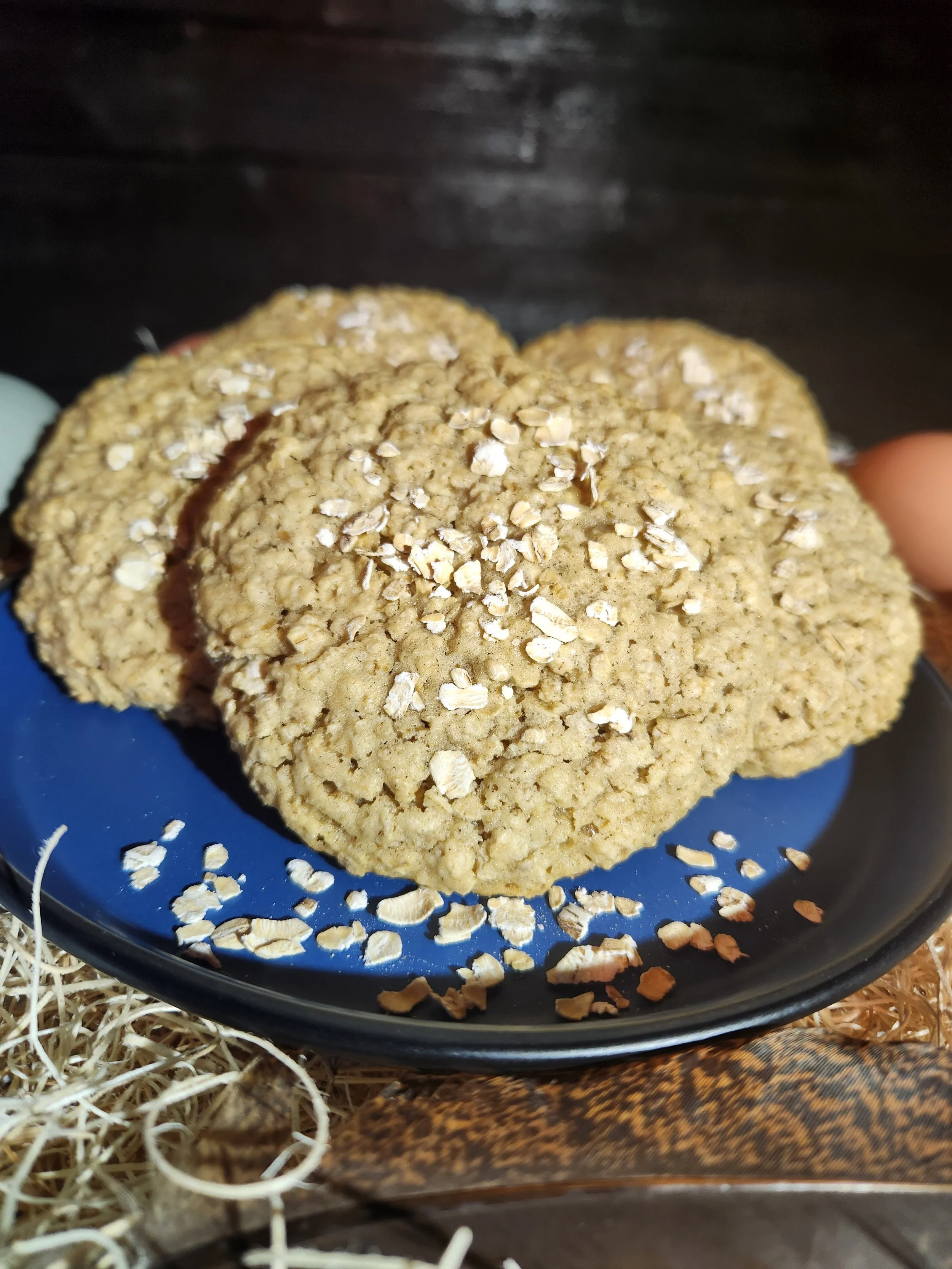 Mamaw’s Oatmeal Cookies, homemade oatmeal cookies without raisins