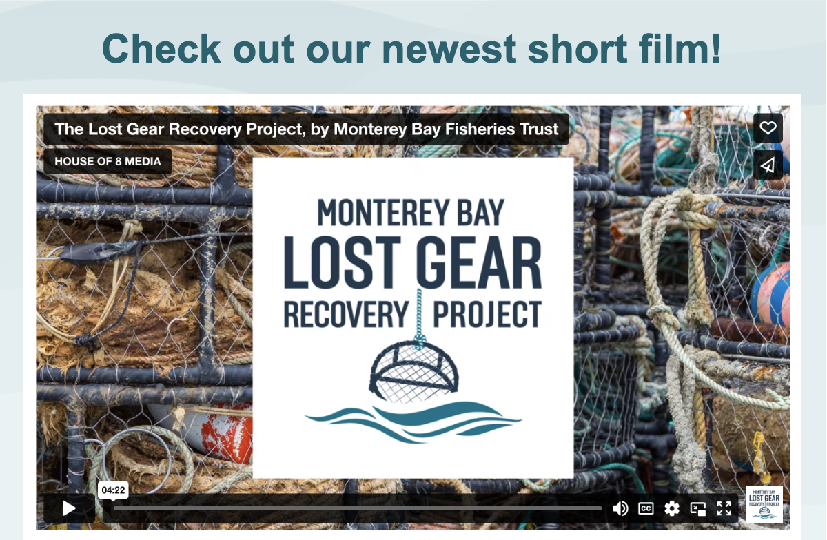 January 2023 Newsletter