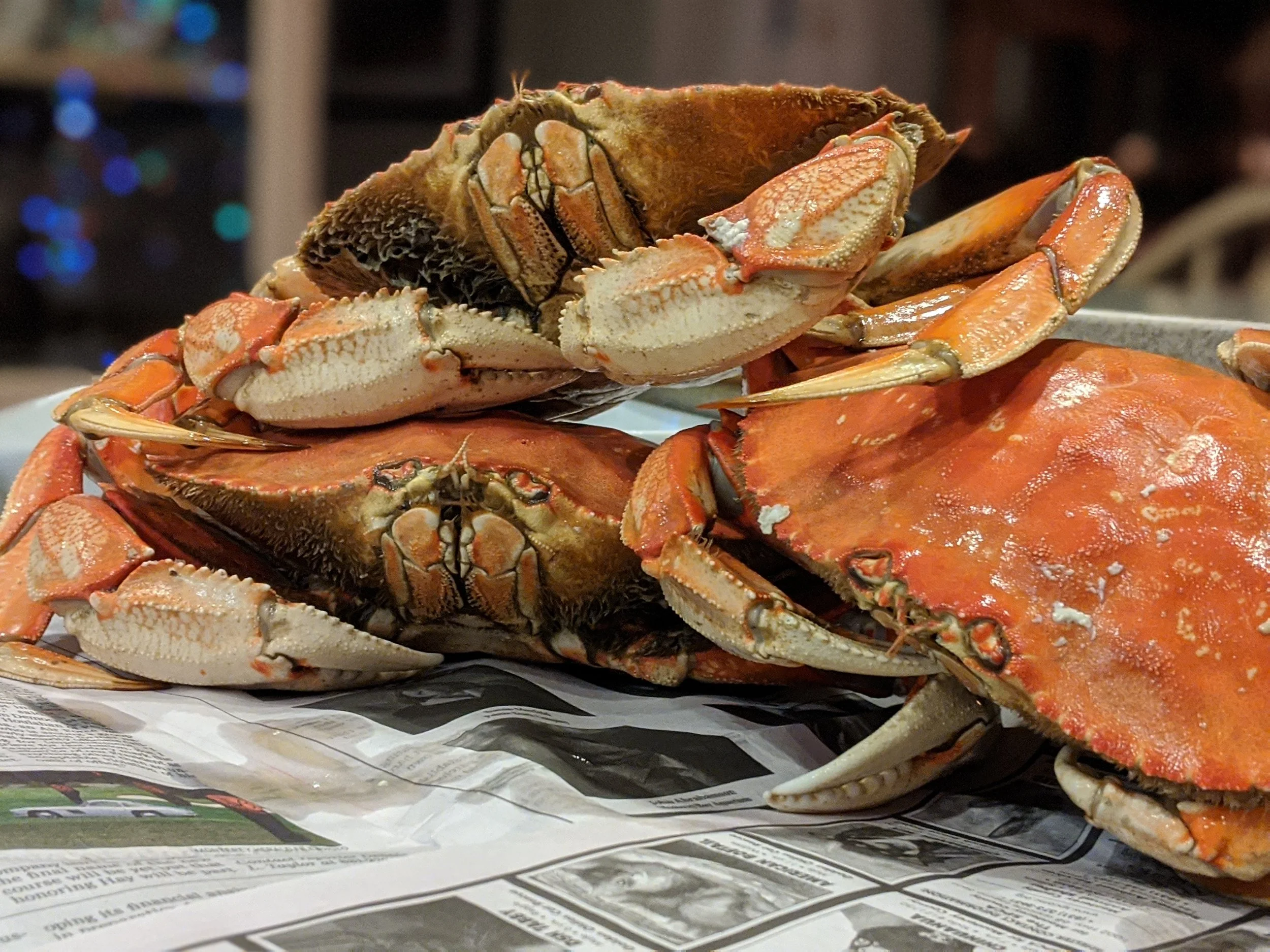 November 2024 Newsletter