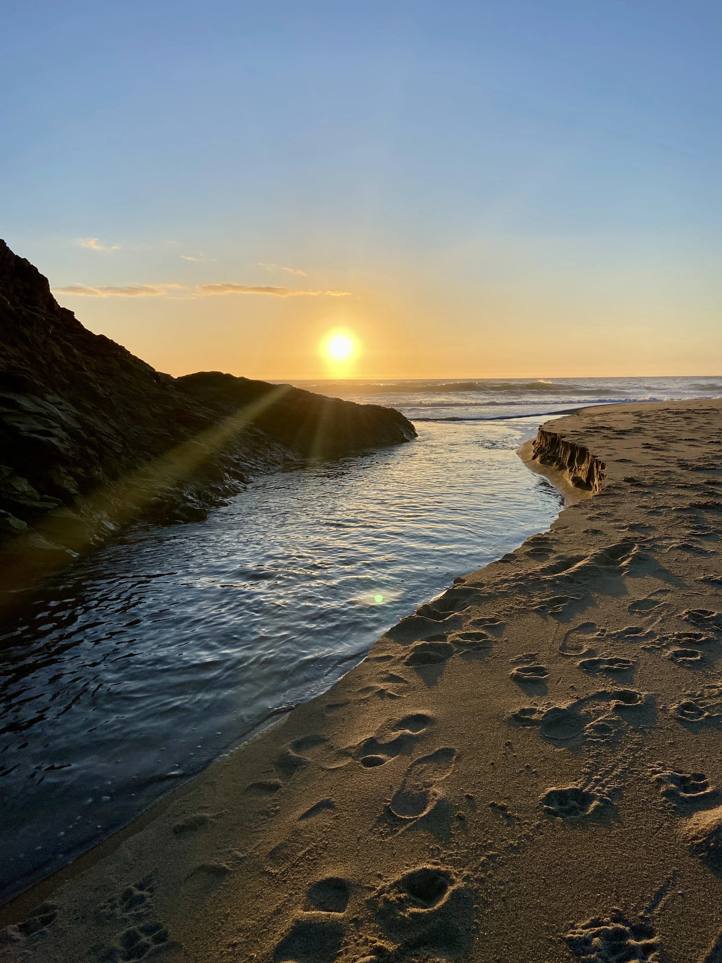 January 2026 Newsletter