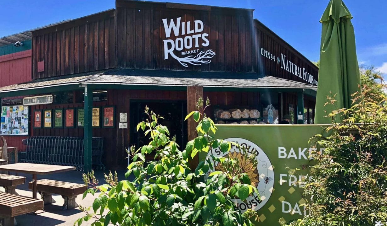 Exterior of Wild Roots Market, a natural foods store with outdoor seating and greenery in front.