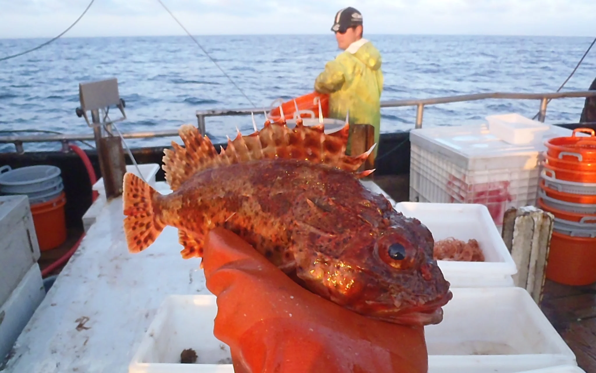 Monterey Bay Fisheries Trust: Preserving local catch for local fishermen.