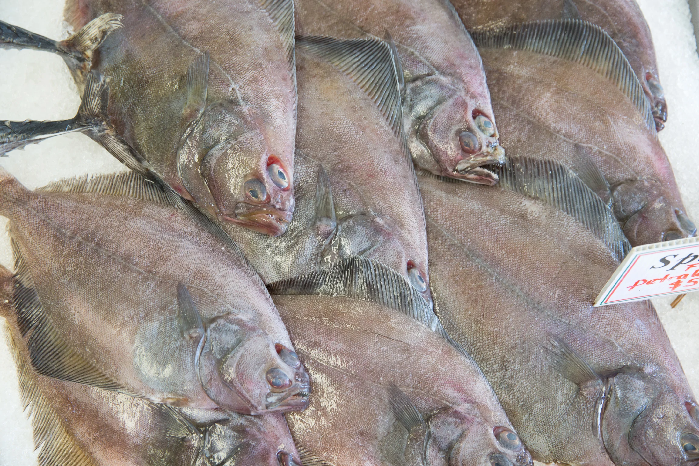 Monterey Bay Fisheries Trust aims to bring back the local seafood market.
