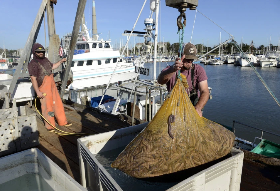 Struggles of state fishermen intensified by coronavirus