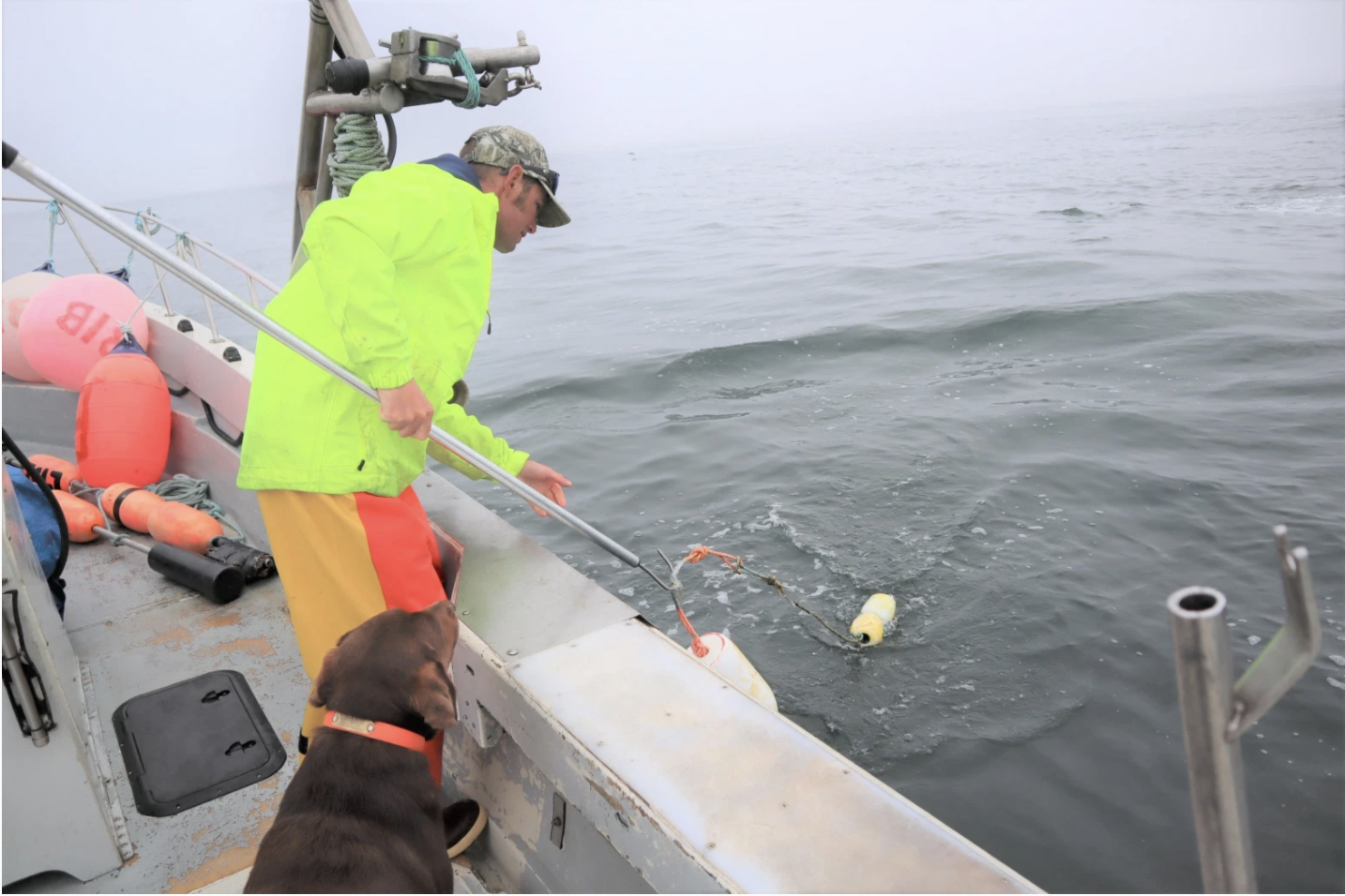 Monterey Bay fishermen work to reduce chances of whale entanglements