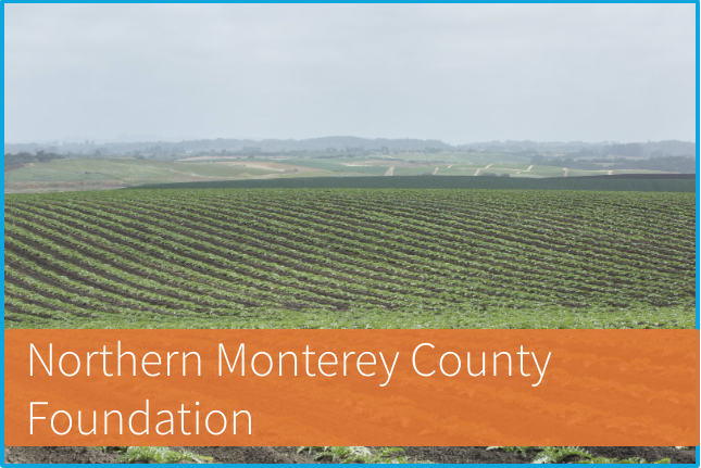 NMCF Awards $31,500 in Grants
