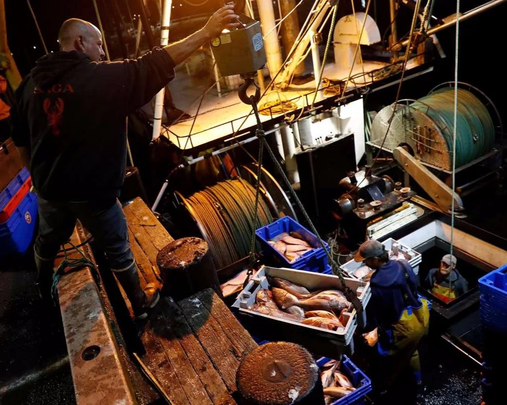 13 years ago, the Nature Conservancy desperately wanted to protect groundfish. Now it wants you to eat them