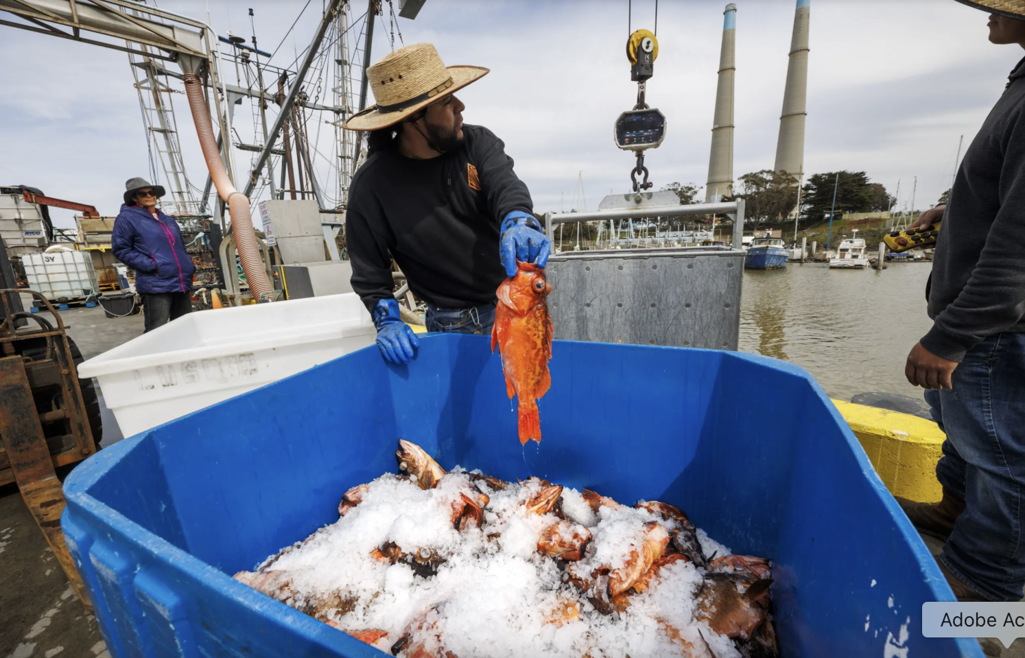 From crisis to comeback: How a tiny nonprofit is working to save Monterey Bay’s fishing industry