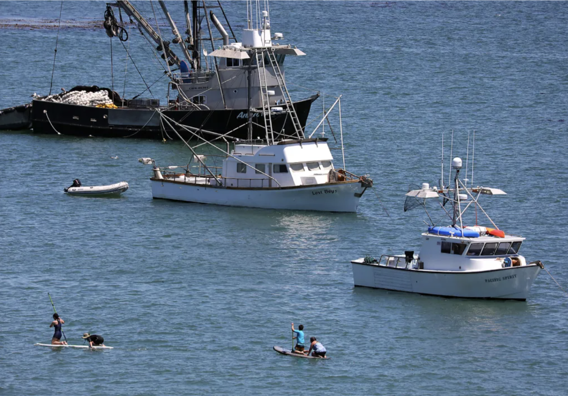 Fishing for recovery in Monterey Bay