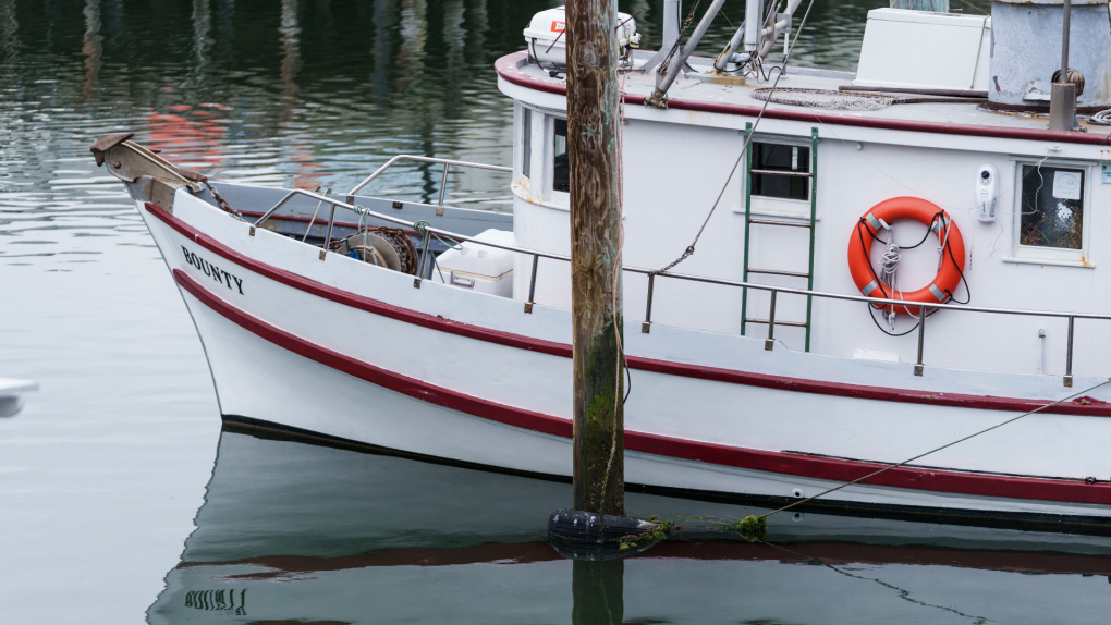 "Bay Area Fisheries Working Against the Tide of Shortened or Canceled Seasons" on KQED