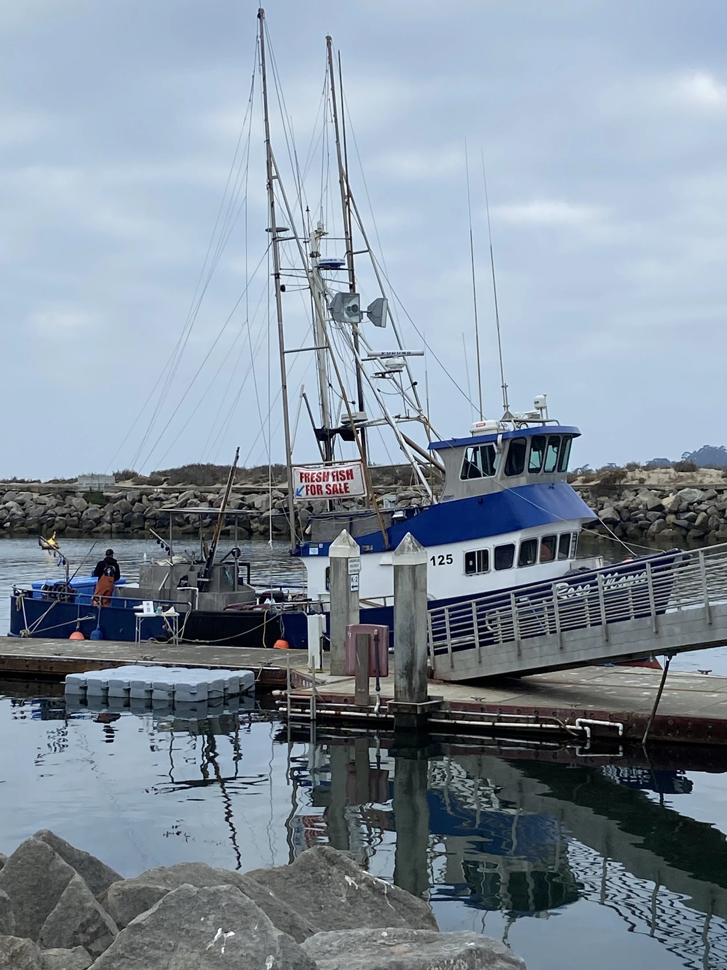 Local fishermen face an increasingly challenging set of delays and restrictions. What’s to be done?