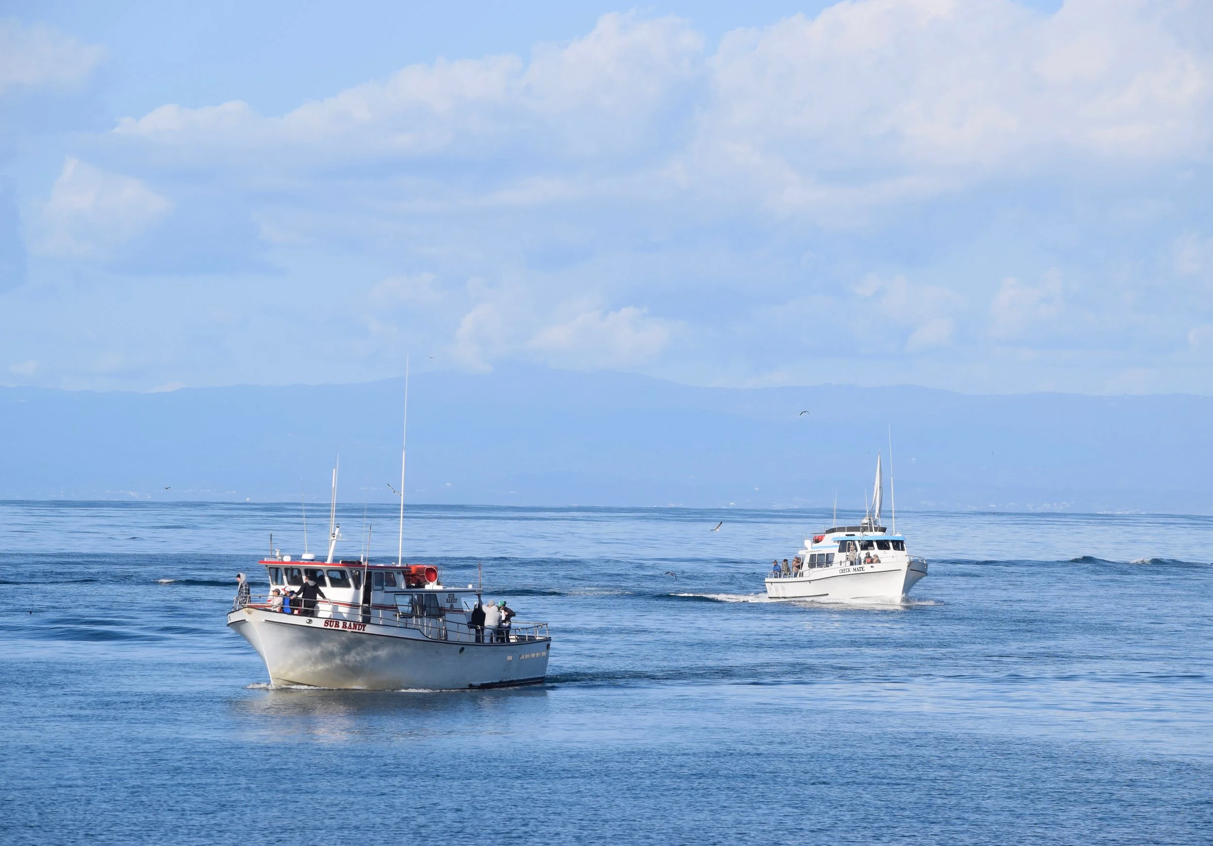 Monterey to use Tidelands funds to support city’s fishing industry