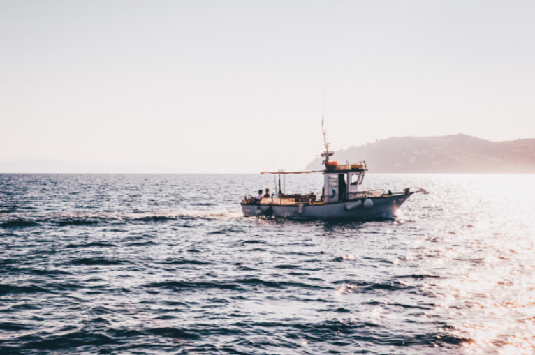 Sustainable local fisheries: the triple bottom line