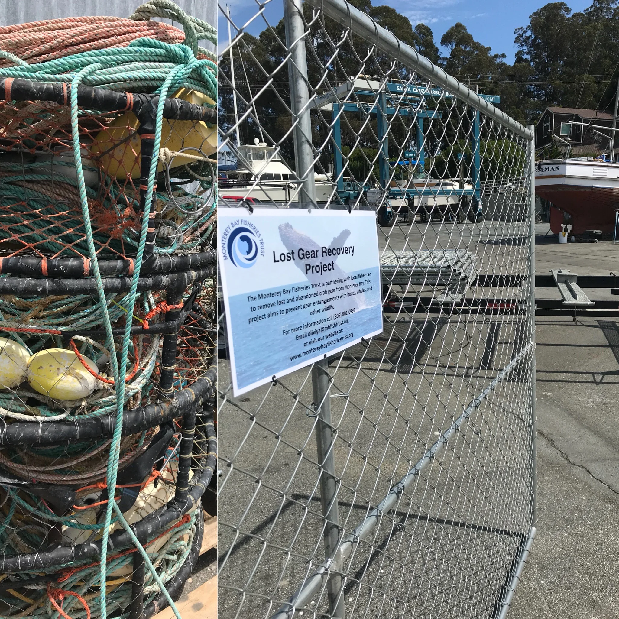 Set up in Santa Cruz harbor.