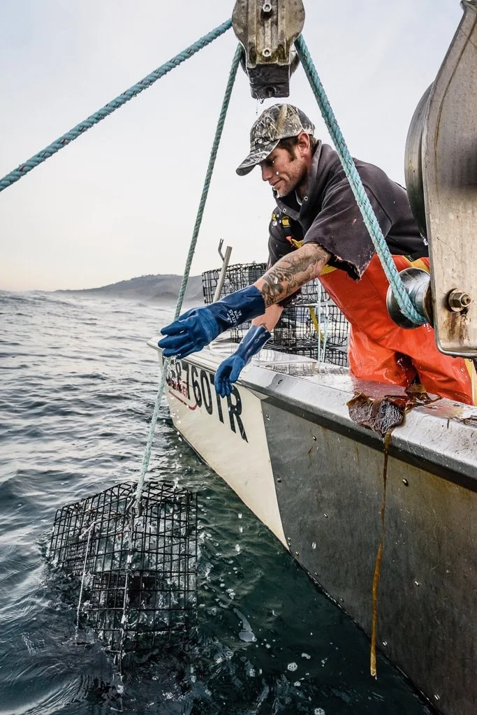 A man in a camouflage hat and gloves placing a metal lobster trap into the water from a boat.