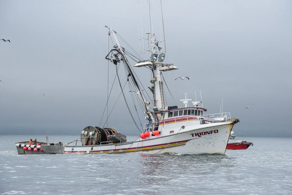 F/V Trionfo, Photo by David Hills