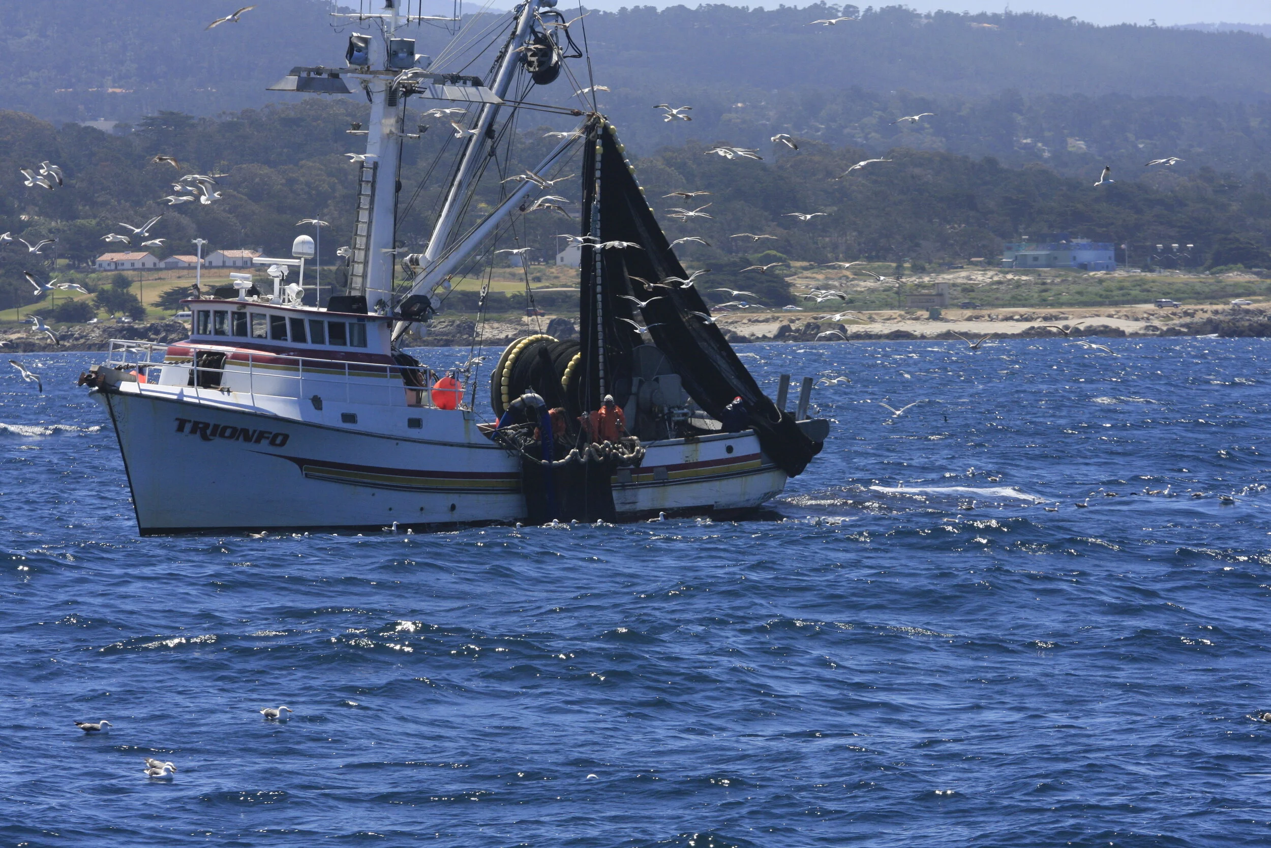 F/V Trionfo, photo courtesy of ACSMB