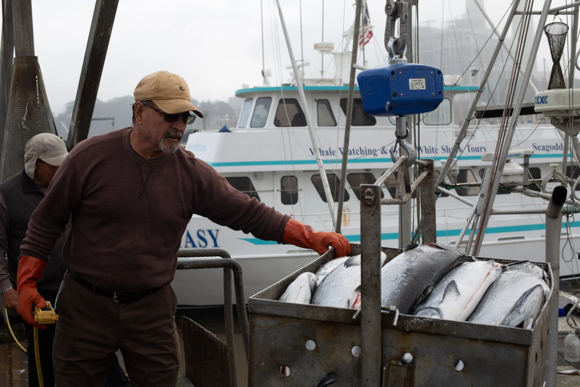 Guadalupe “Lupe” Villalobos unloading salmon at Bay Fresh Seafood in Moss Landing, CA. Photo: TrimTab Media