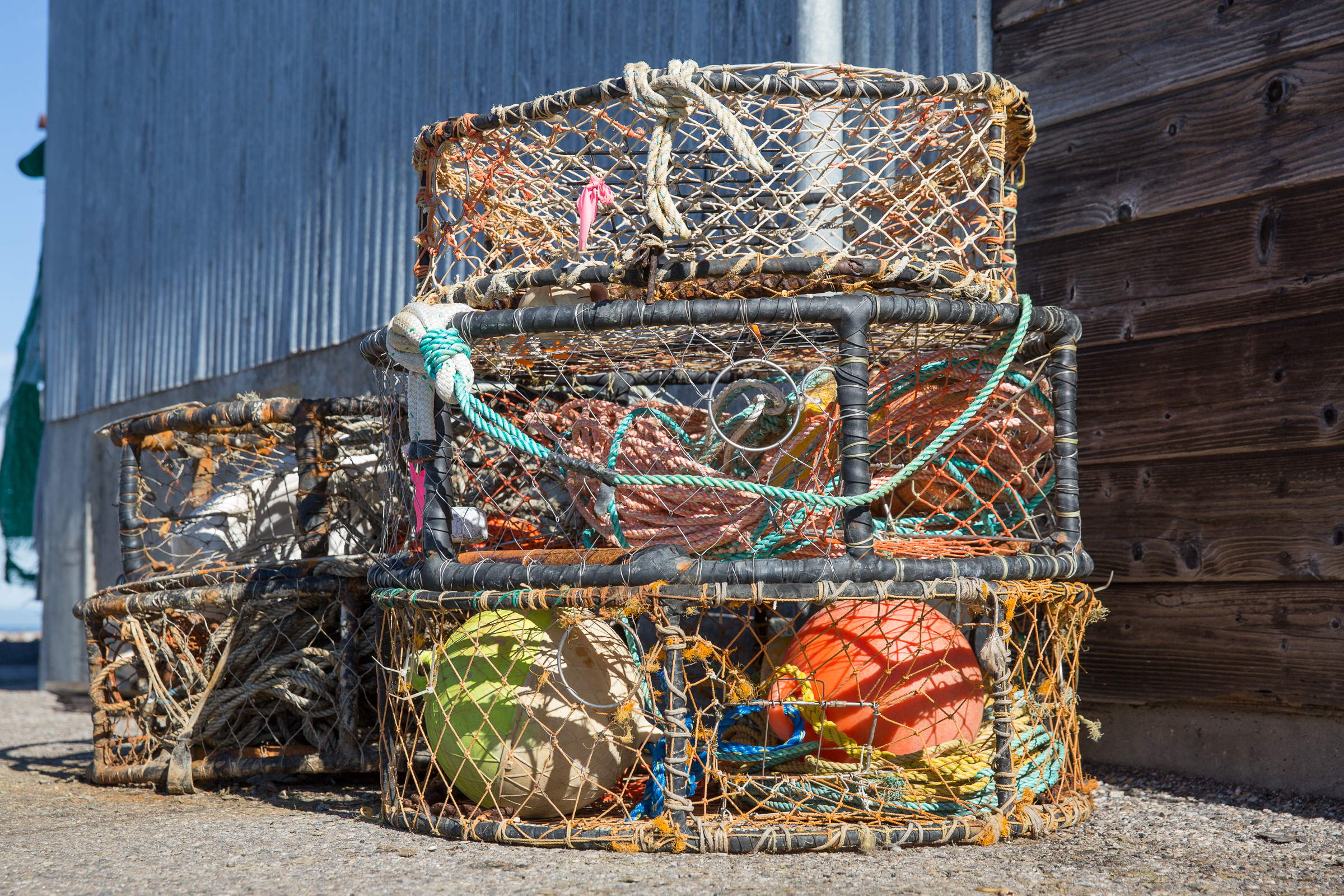 Fishermen and Monterey Bay Fisheries Trust team up to remove lost crab gear from Monterey Bay